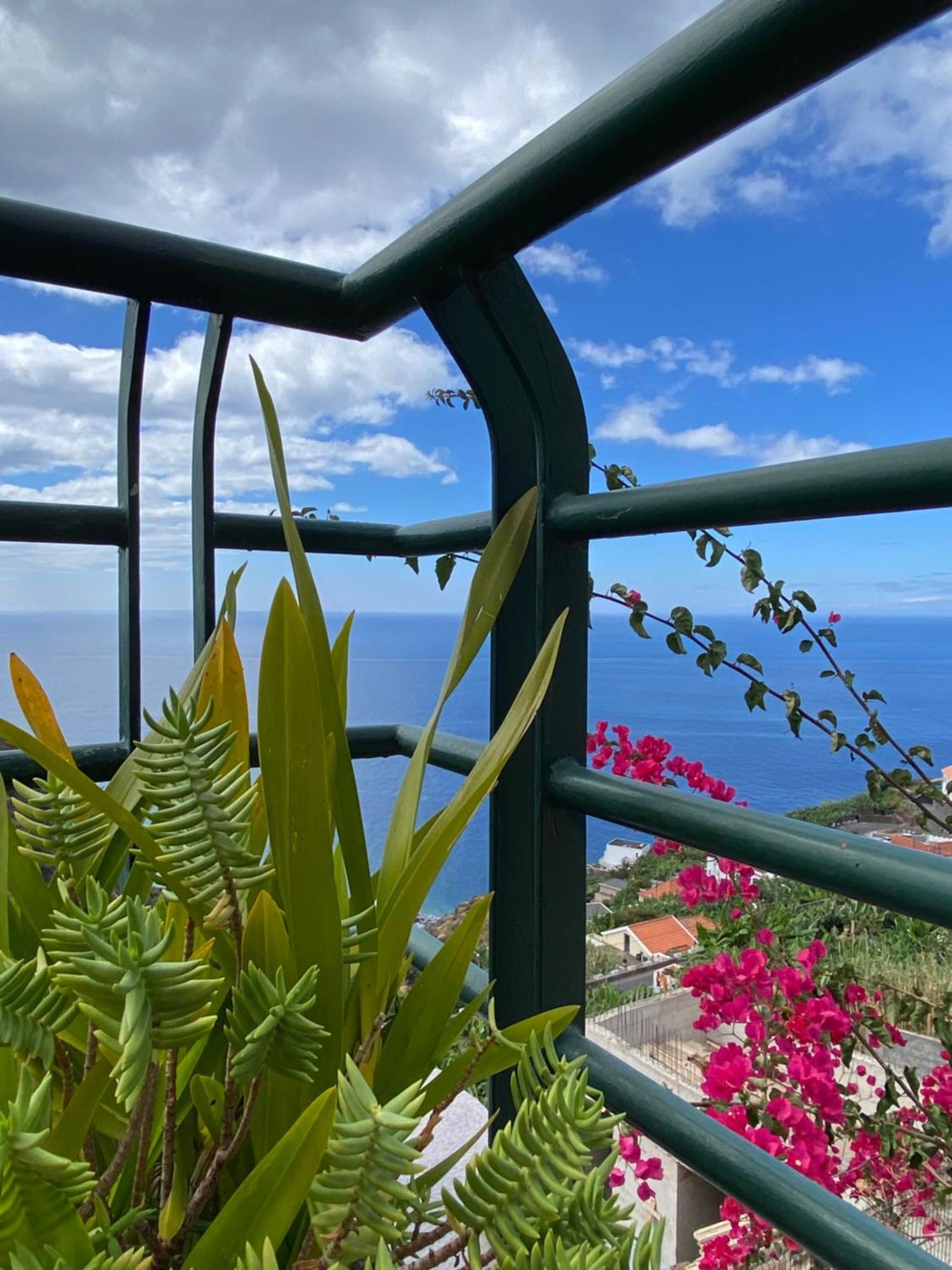 Apartament Pana House *