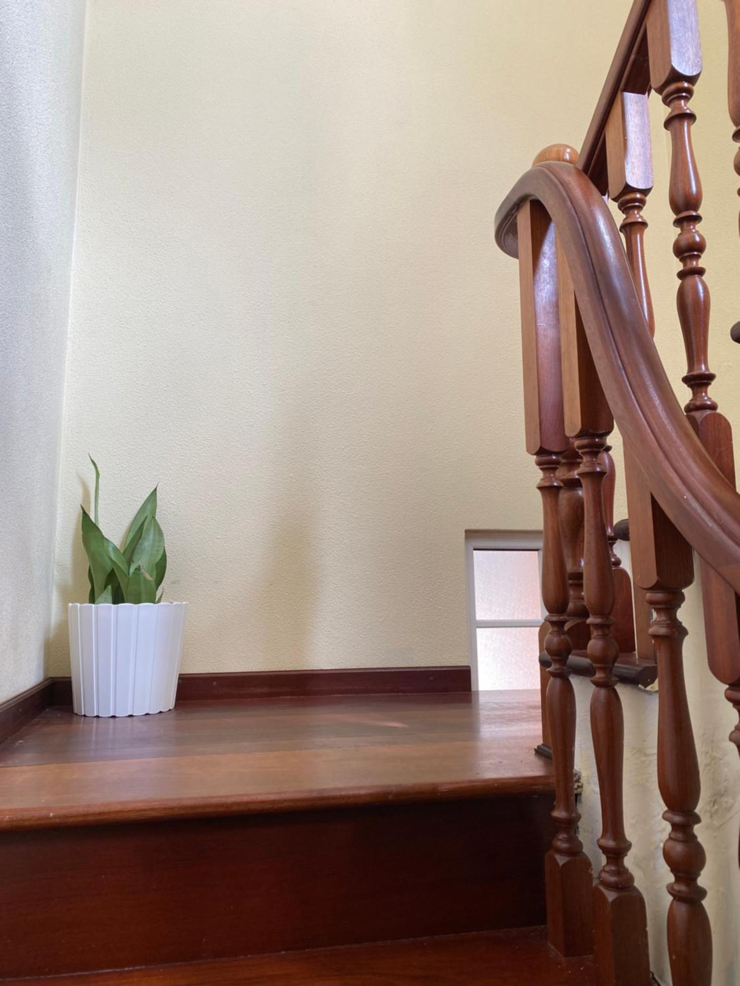 Pana House Apartment *